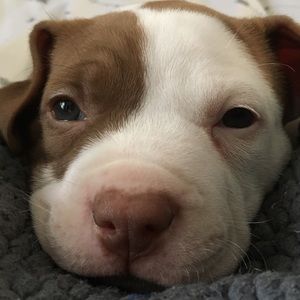 Meet your Posher, Eva